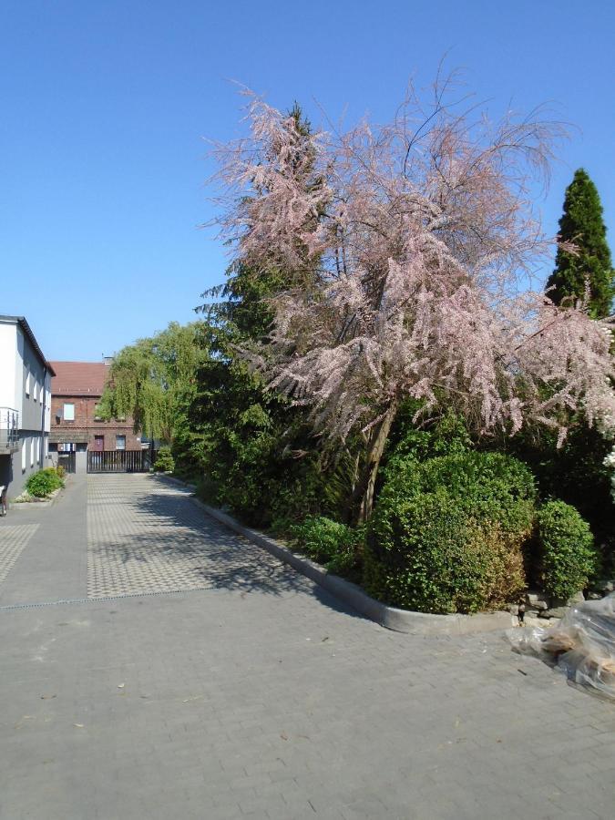 Villa Art Korab Gliwice Buitenkant foto